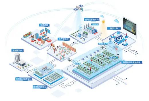 物联网走进云兴小学 植物工厂点亮智慧教育新篇章